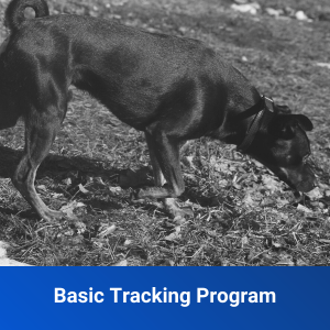 basic tracking program