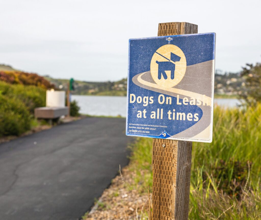 Water Safety for Dogs