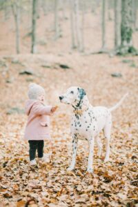 Training Tips for Families With Kids and Dogs: Setting the Whole Pack Up for Success 