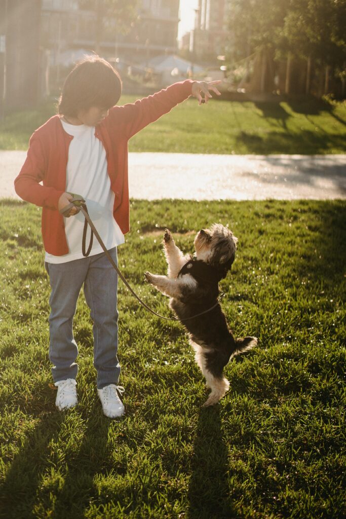 6 Incredible Dog-Friendly Places in Columbus to Practice Obedience