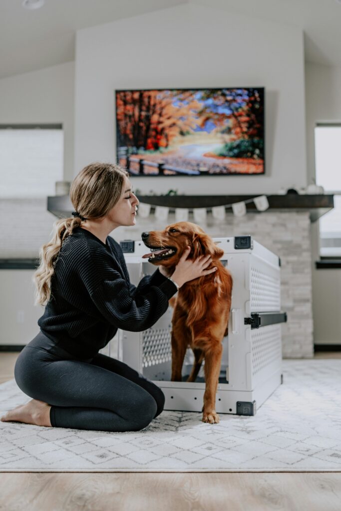 Crate Training 101: Proven Ways to Create a Positive Experience