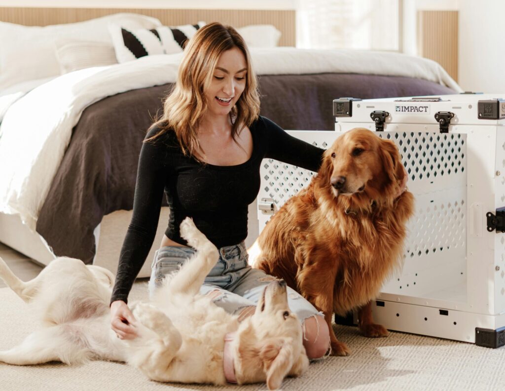 Crate Training 101: The Positive Approach
