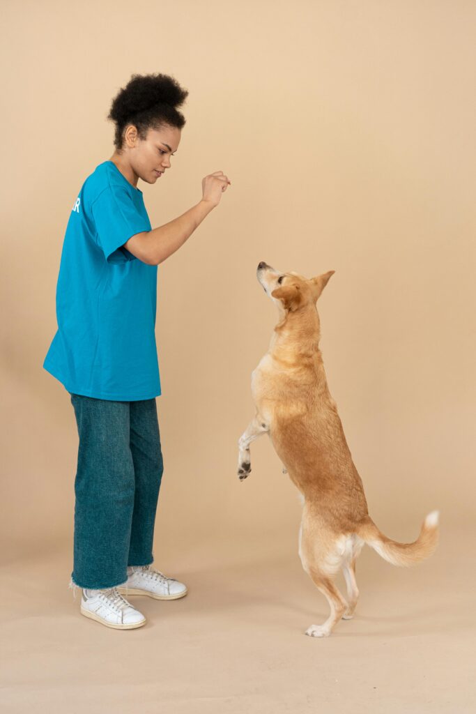 Obedience Training: A Powerful Lifelong Journey