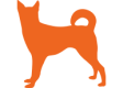 Icon10