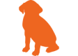 Icon2