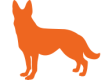 Icon3