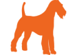 Icon5
