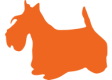 Icon9